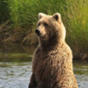 Meet your Posher, Izzy